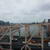 NYC_2015-06-18 10-25-35_CELL_20150618_102535
